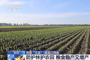 切尔西0-1水晶宫半场数据：蓝军79%控球率&补时才完成第一脚射门